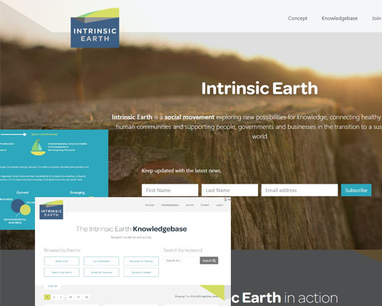 Intrinsic Earth