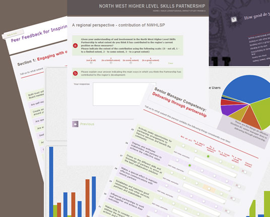 Online surveys